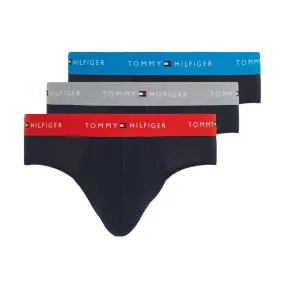 Slip Tommy Hilfiger cotone